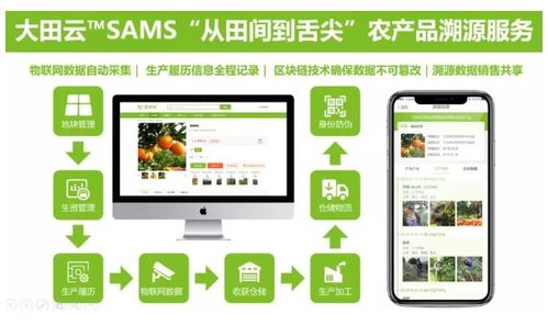 大田智慧农业1.28亿元数字化服务助力农产品安全生产