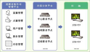 数字内容制作服务 为企业插上数字化转型的翅膀